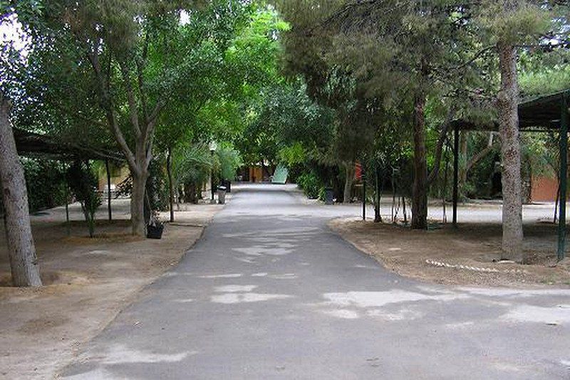 Camping Internacional Las Palmeras