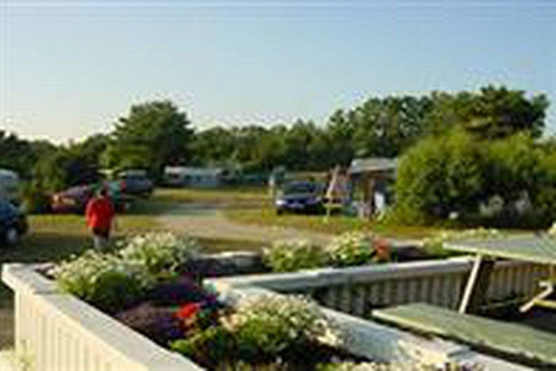 Lyngholt Familie Camping