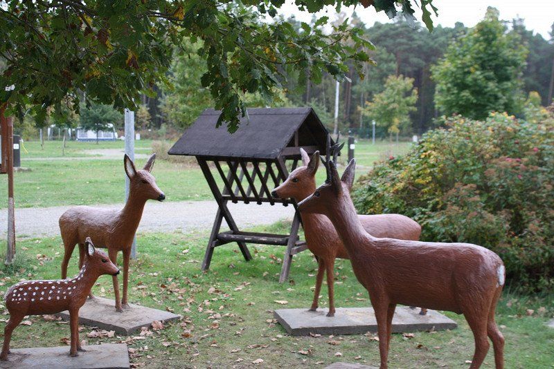 Themencamping Grünewalder Lauch