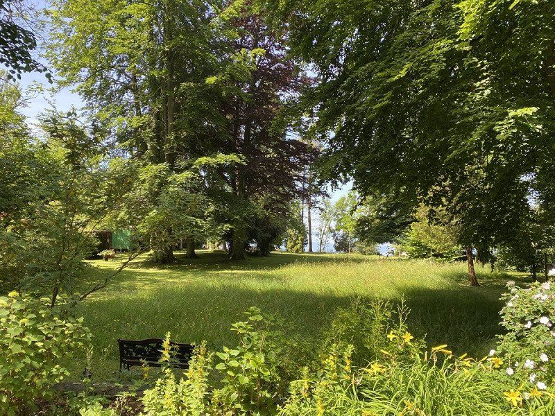 Privatstellplatz Auszeit am Bodensee  mit direktem Zugang zum Wasser und Blick auf die schweizer Berge,