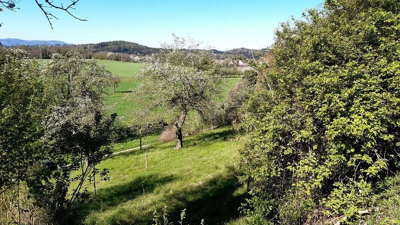 Privatstellplatz Stellplatz in idyllischer Lage