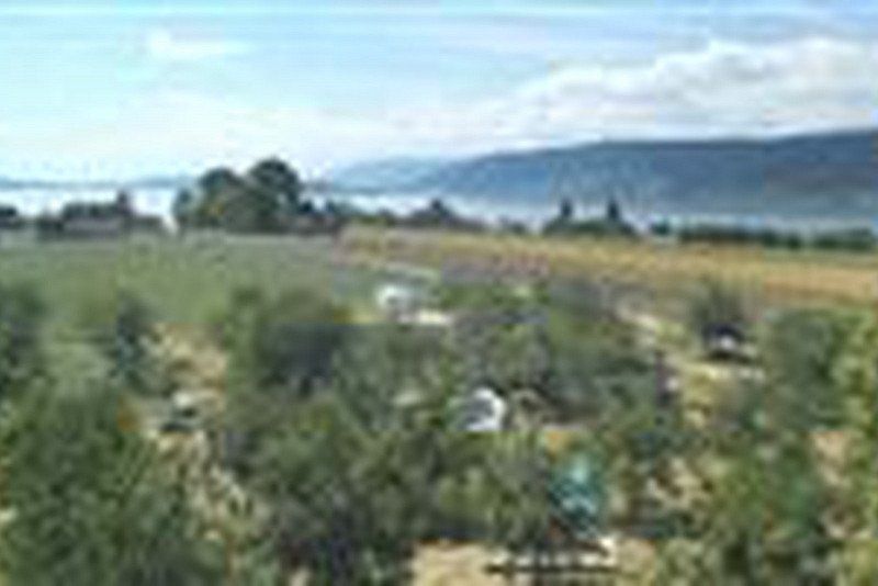 Camping Lindenhof