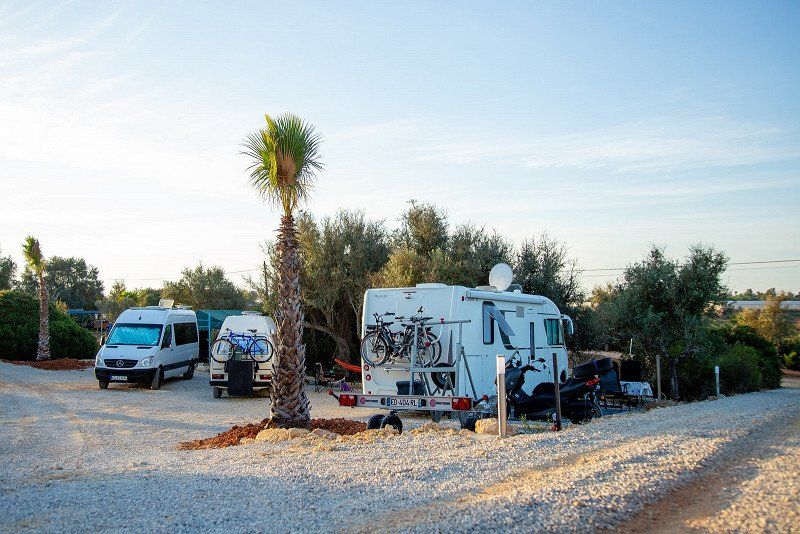 Oasis Surfcamp