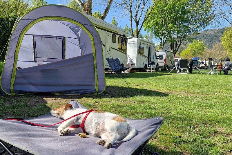 Camping Neckargemünd