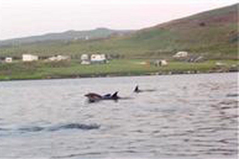 Loch Greshornish C. & C. Site