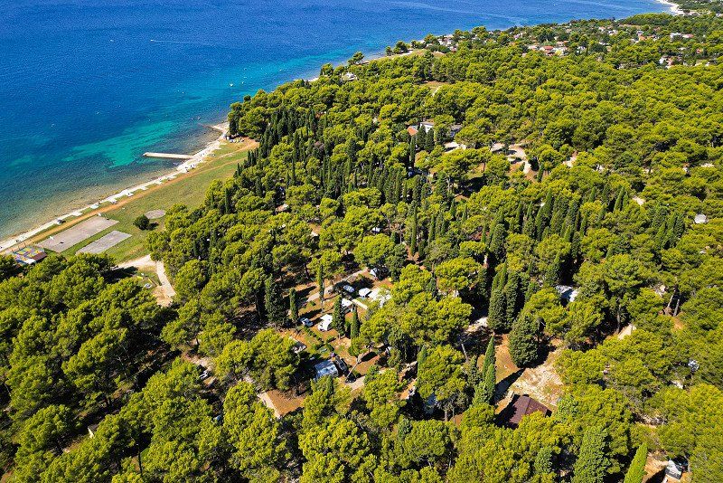 Camping Pineta