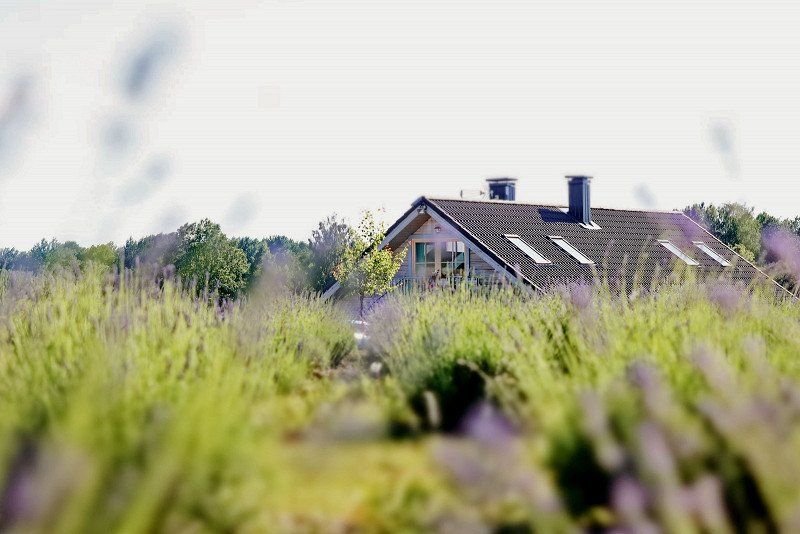 Lavender Village