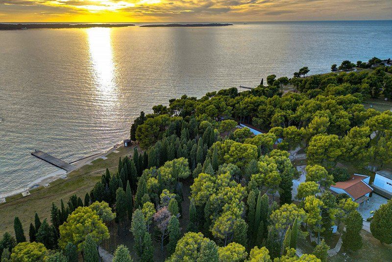 Camping Pineta