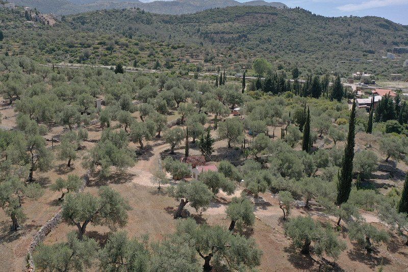 Kamping Himara