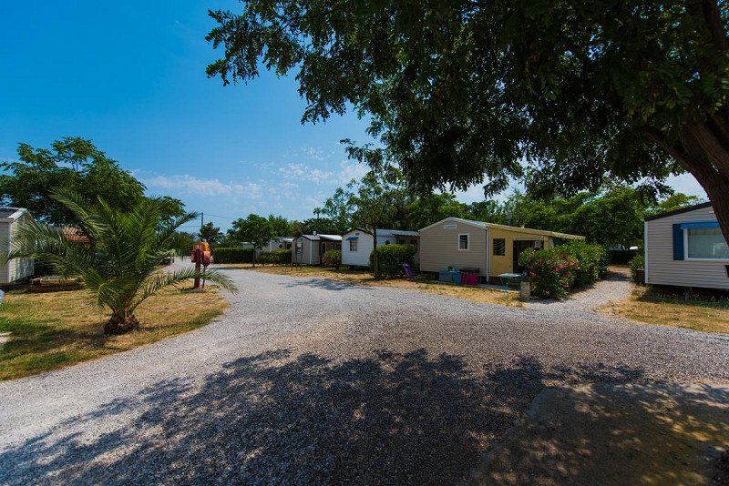 Flower Camping Altea