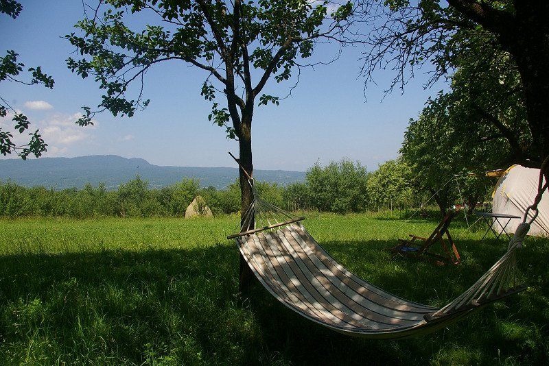 Babou Maramures