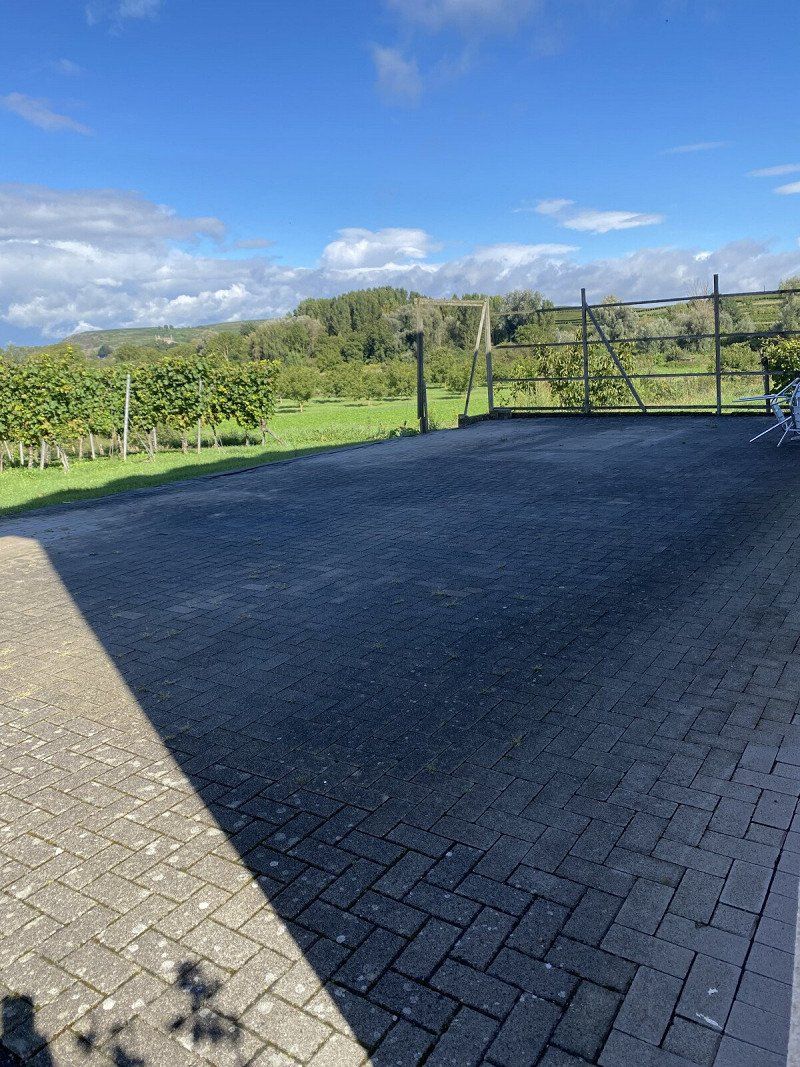 Privatstellplatz Blick auf die Weinreben