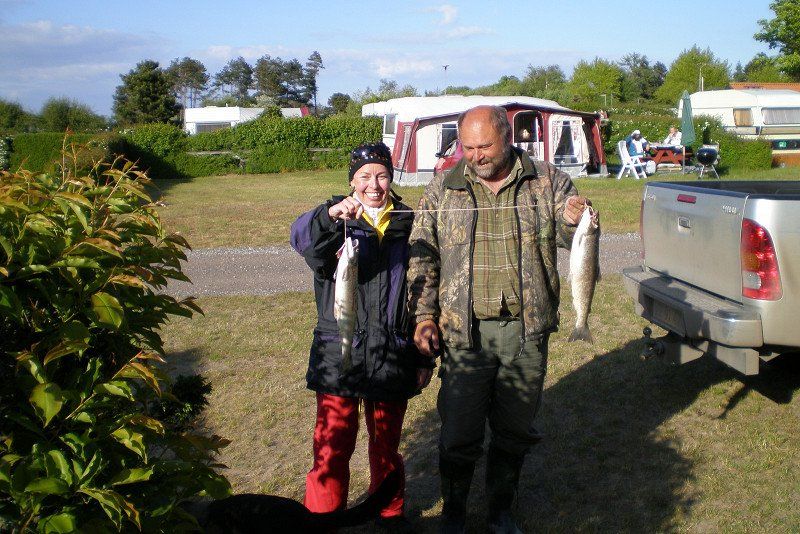 Fynshoved Camping