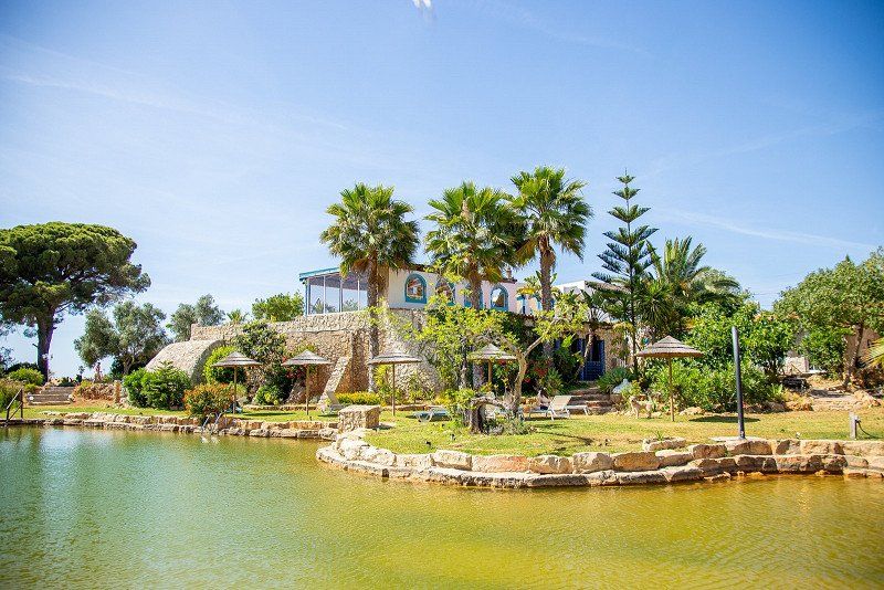 Oasis Surfcamp