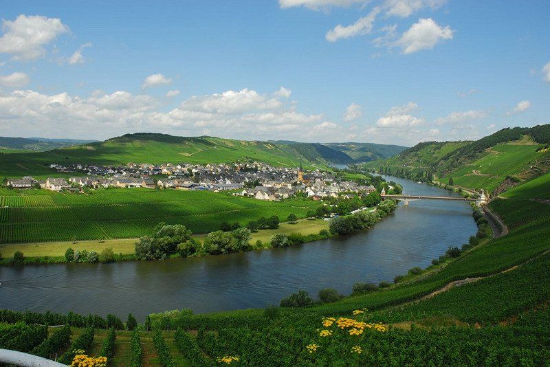 Camping Im Grünen Trittenheim