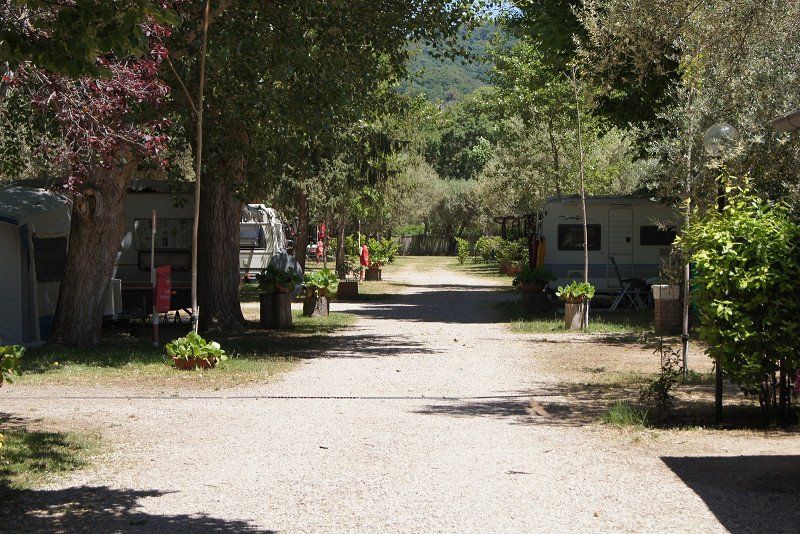 Camping Pineta