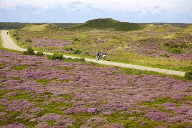 Texelcamping Kogerstrand