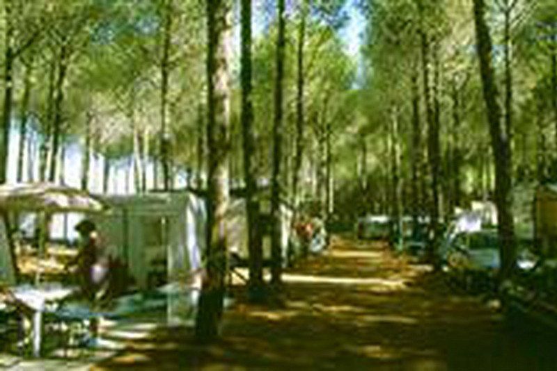 Campeggio Il Salice
