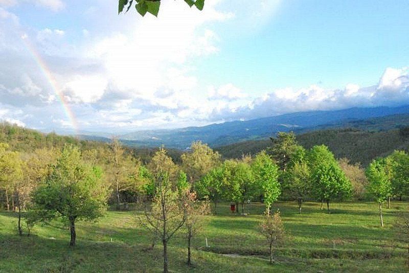 Camping Falterona