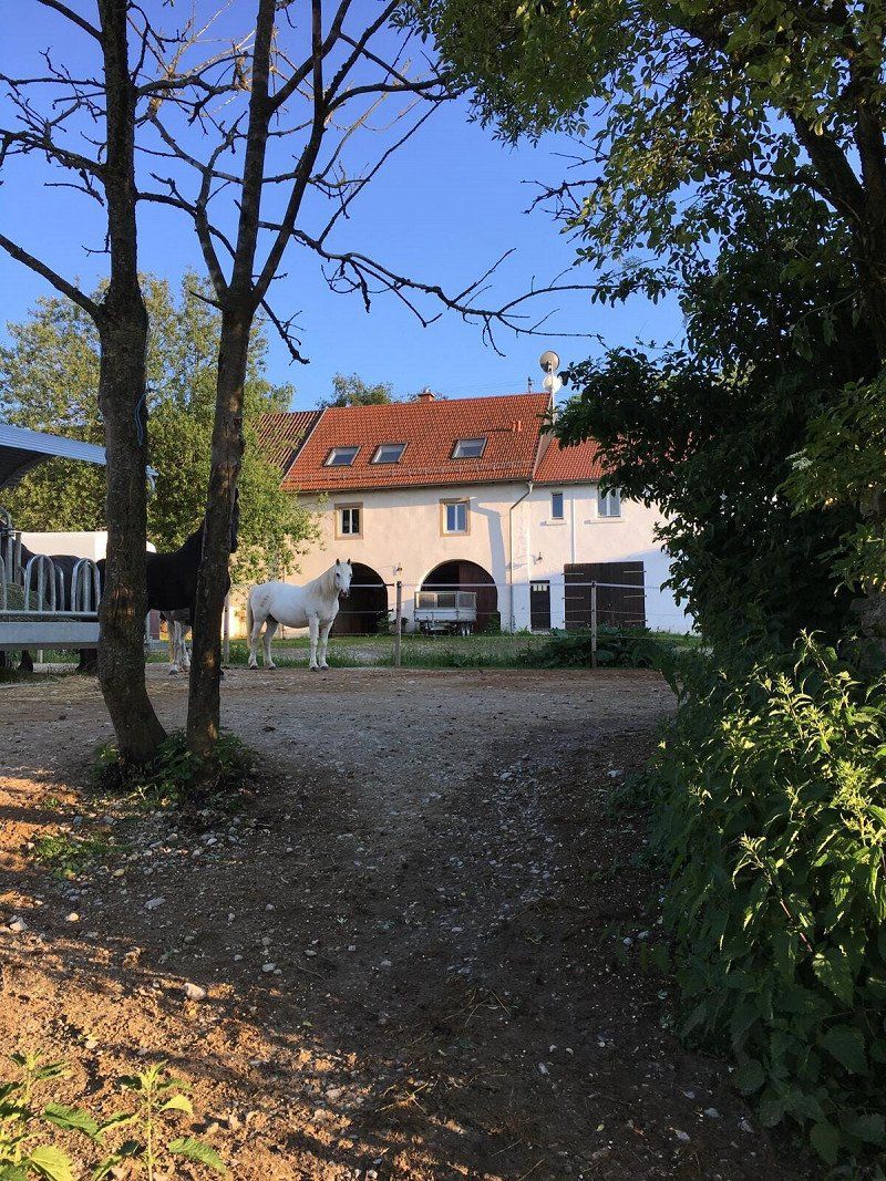 Privatstellplatz Ruhe und Erholung auf dem Gut