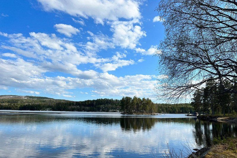 Trehörningsjö Camping & Stugor