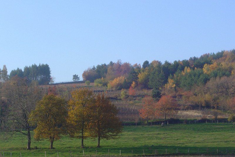 Camping Municipal La Louve