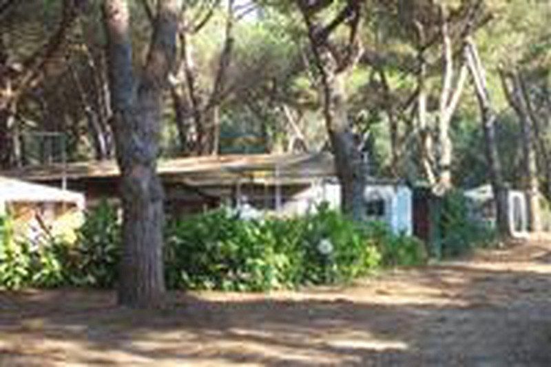 Campeggio Lido delle Ginestre