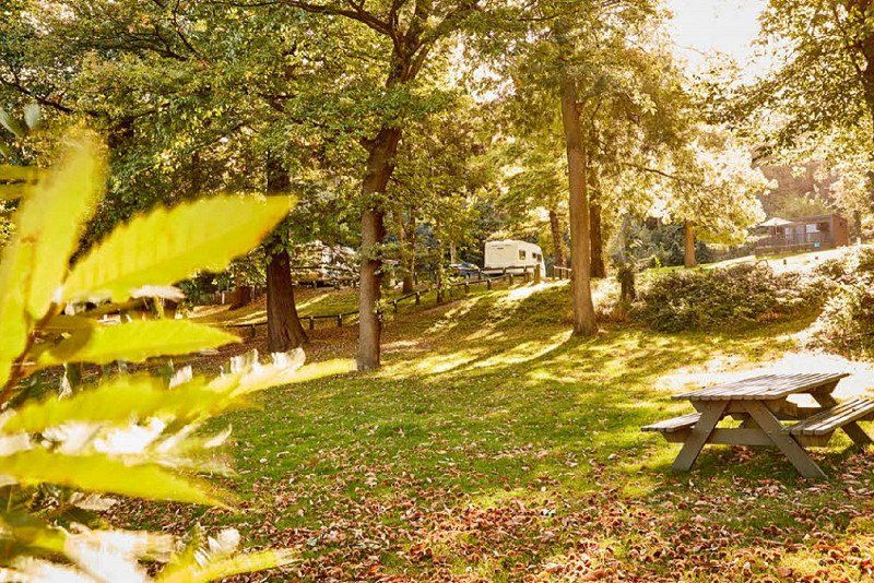 Abbey Wood Caravan Club Site
