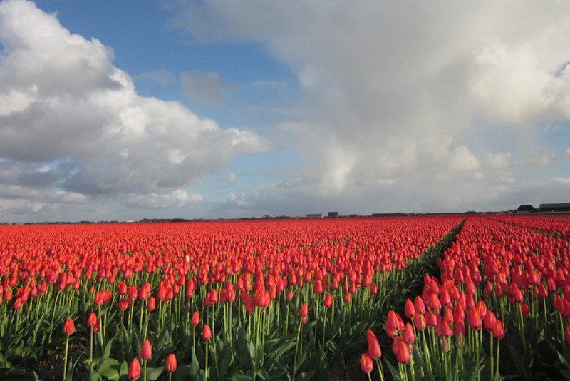 Camping 't Noorder Sandt