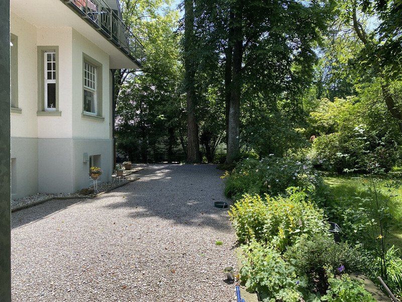 Privatstellplatz Auszeit am Bodensee  mit direktem Zugang zum Wasser und Blick auf die schweizer Berge,