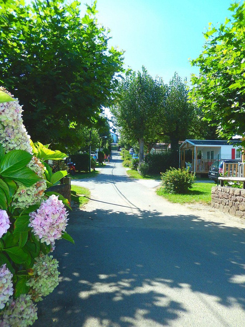Camping Harrobia
