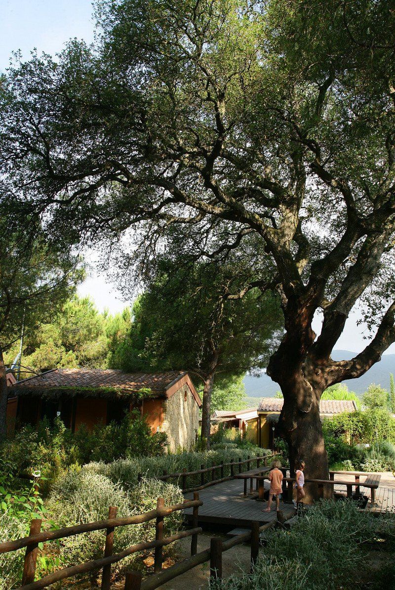 Camping Village Rocchette