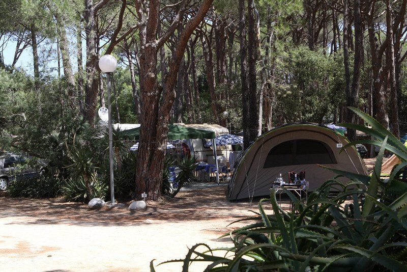 Camping La Pinede
