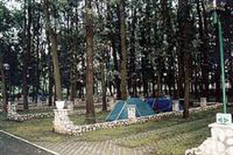 Camping International