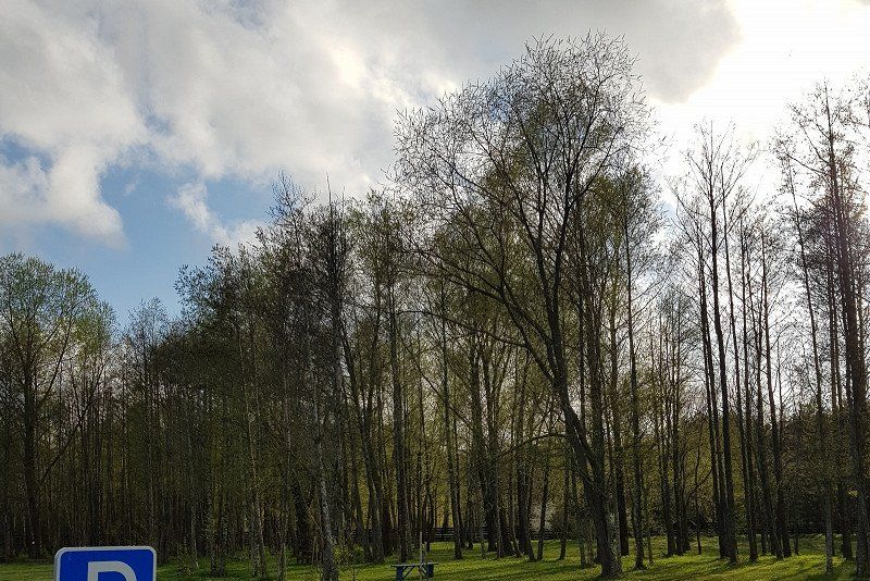 Campsite 37A