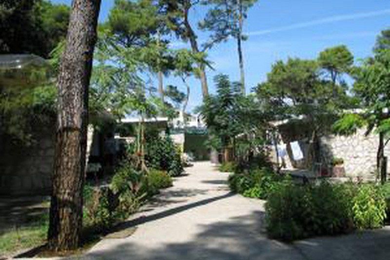 Camping Diana & Josip