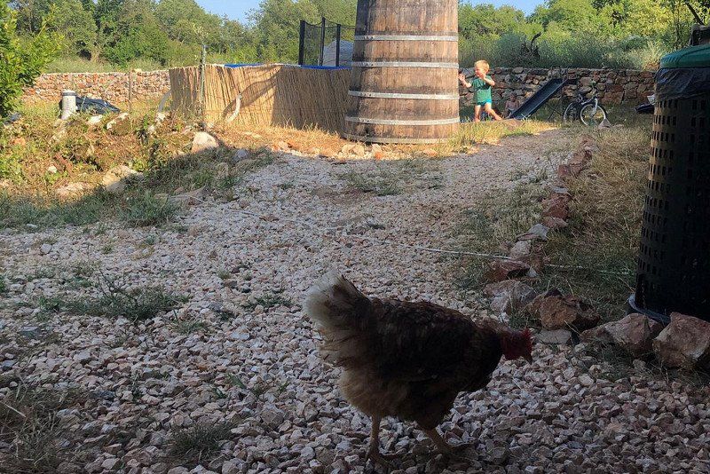 Agape Farm&Camp