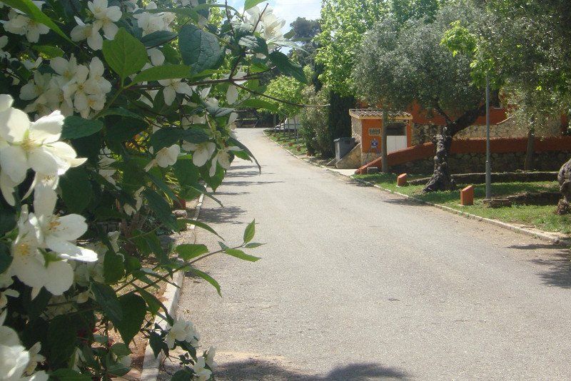 Camping El Sur