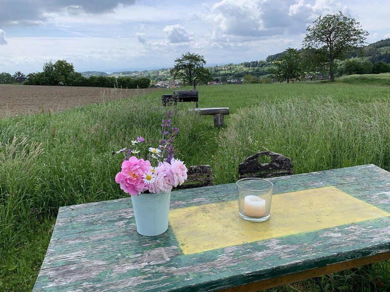 Privatstellplatz Bodensee Panorama - Alpenblick:  Stellplatz