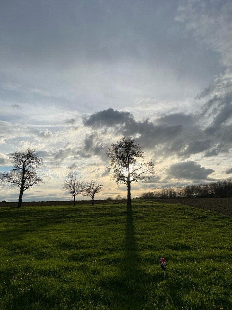 Privatstellplatz RoSy - Der Stellplatz nähe Bodensee