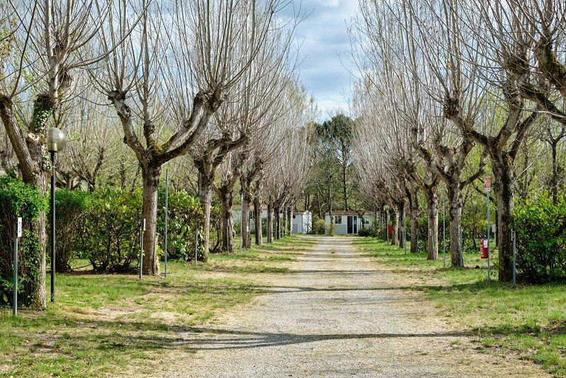 Camping La Chiocciola