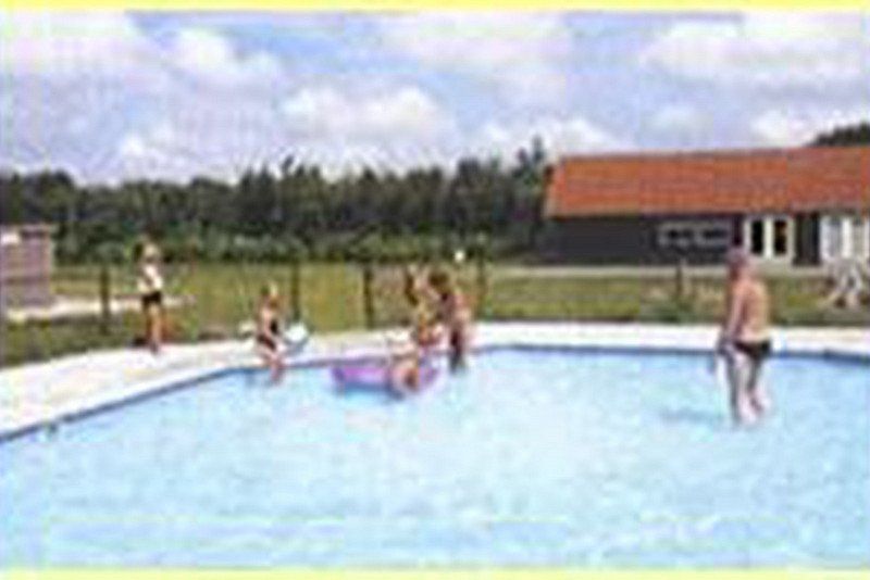 Camping Vogelenzang
