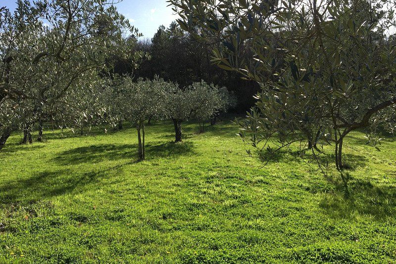 Agricampeggio Borgo Agna