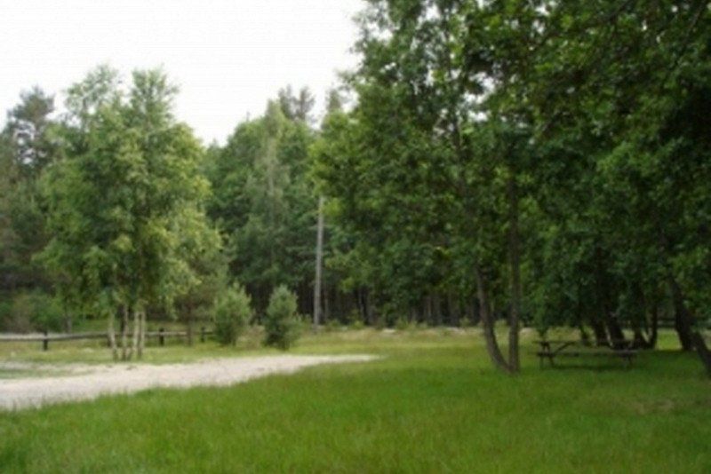 Camp Pitagi