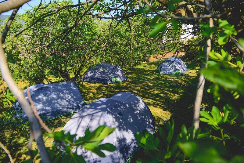Camp Pod Ostrog