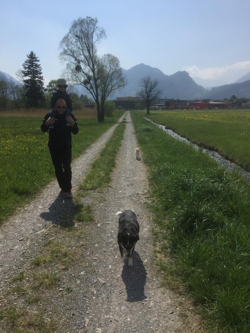 Michi der Tierliversteher mit Katz und Hund.....