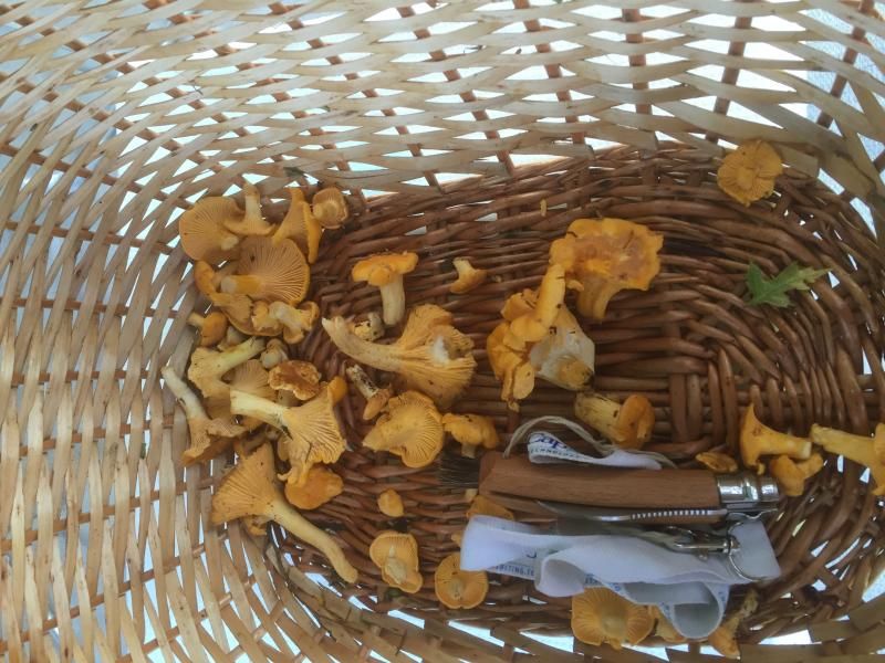 es paar Eierschmömmli meeh...