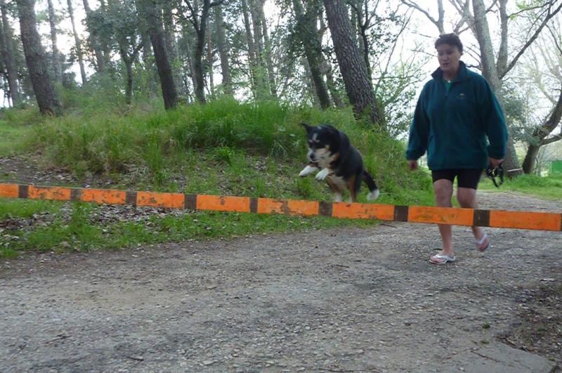 Agility wie einst im Mai