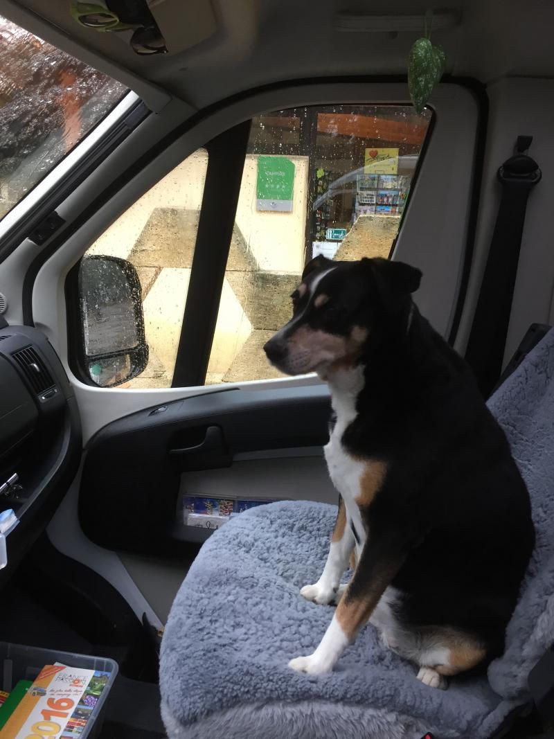 Copilot Dixx