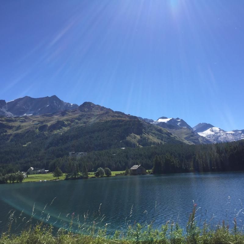 Grüezi Silvaplanasee